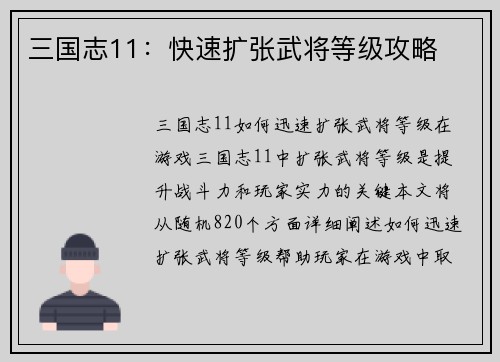 三国志11：快速扩张武将等级攻略
